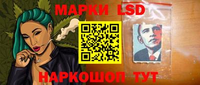 индика Аша