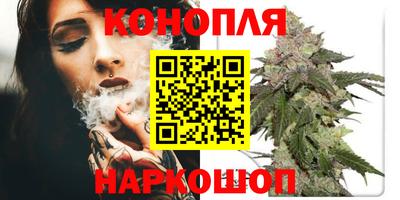 индика Аша